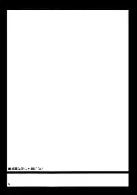 (C83) [04U (Misasagi Task)] Kirei na Ibara nya Toge darake (Touhou Project)