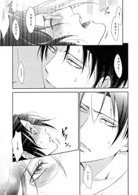 (C85) [RIX (Mamiya)] Ten ni Habataku Sono Hi Made (Shingeki no Kyojin)