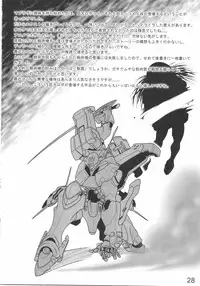 (C75) [LEYMEI] TWIN STRIKE (MUV-LUV) [English] =Tigoris Translates=