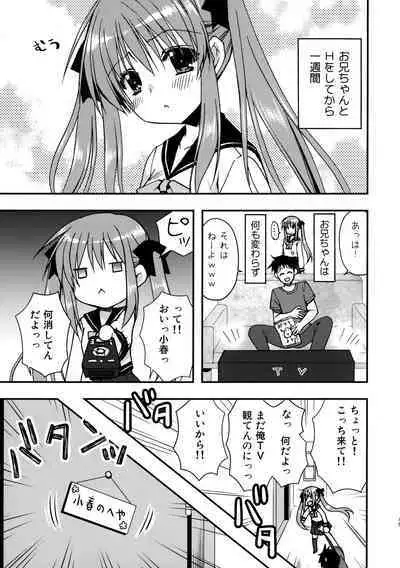 (COMIC1☆12) [Ryuu no Kinyoubi (Ryuga Syo)] Onii-chan o Suki nano wa Watashi dake nandakara ne