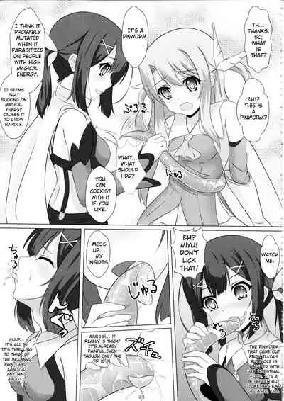(COMIC1☆12) [Hazuki Tsuitachi (Kishimen)] Mahou Shoujo wa Gyouchuu ga Osuki (Fate/kaleid liner Prisma Illya) [English]