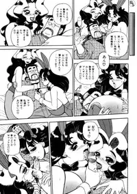 [Wingbird] - Kontoma Paradise