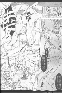 (C70) [Synthetic Garden (Miwa Yoshikazu)] Rancid Lovers #2 (Summon Night 3)