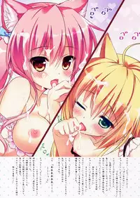 (SC60) [Ame nochi Yuki (Ameto Yuki)] NEKOMAMIRE