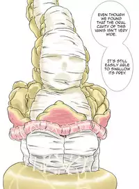 [Kasetsu Shirokuma (Yoi)] P045-02 Vanis Report [English] [CrayZayJay]