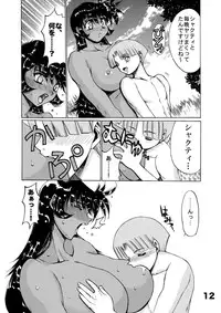 (C68) [West Island (Koshijima Kazutomo)] WIB Vol.4 (Super Robot Taisen)