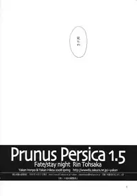 (COMIC1☆2)[[Yakan Honpo & Yakan Hikou (Inoue Tommy)] Prunus Persica 1.5 (Fate/stay night)
