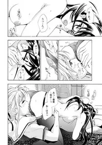 WEB Bazooka Vol. 30