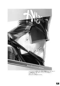 (C78) [Fujiya Honten (Thomas)] Hunter's Bible (Monster Hunter) [English] [FUKE]