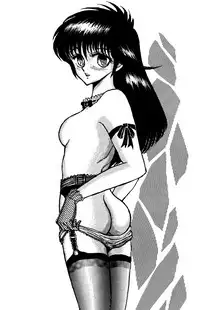 (C40) [STUDIO SHARAKU (Sharaku Seiya)] SHARAKU SPECIAL (Various)