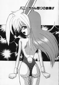 [Hazuki Shishimaru] Ganbare Bunny-chan