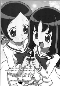 (Puniket 21) [Circle Heron (Shiramayumi)] Magejun 26 (Heartcatch Precure!)