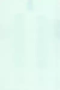 (C62) [Aniki Teikoku (Fey Tas)] Hajimete no Schumacher (Schumacher)