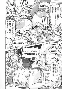 [Hasebe Mitsuhiro] Kinpatsu Bakunyuu Seisho