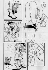 (C48) [Shishamo House (Araki Akira)] elfin 12 (Magic Knight Rayearth, Nurse Angel Ririka SOS)