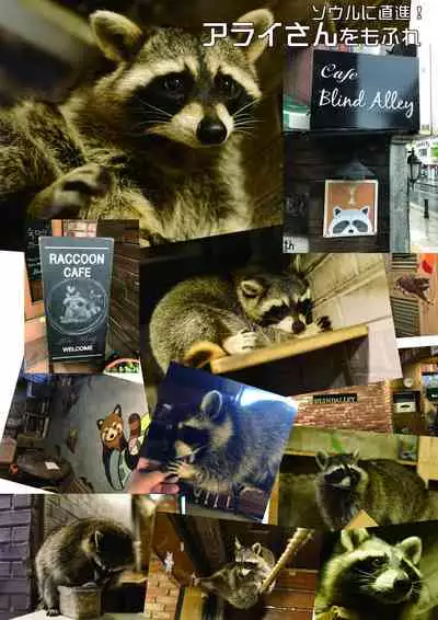 may Kemono Friends Thre Goudoushi 2