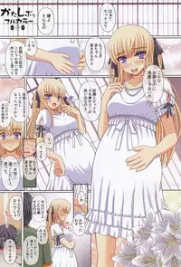 (C79) [Shiawase Kyouwakoku (Shiawase no Katachi)] Katashibu Full Color 35-shuu