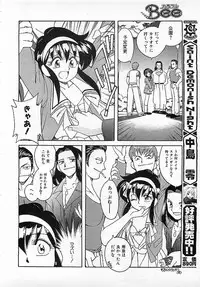 Colorful Bee 1999-10