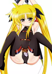 [Nekoya] Mahou Shoujo Lyrical na Echii Hon 11 (Mahou Shoujo Lyrical Nanoha) [Digital]