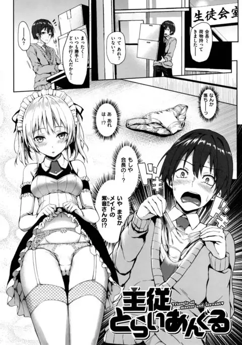 Shujuu Ecstasy - Sexual Relation of Master and Servant. -