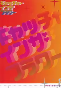 (C78) [Medical Berry, Techno Fuyuno (ha-ru, Fuyuno Haruaki)] Catcher in the Flower (Heartcatch Precure)