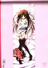 Dakimakura Cover Gashuu Bishoujo Game Hen