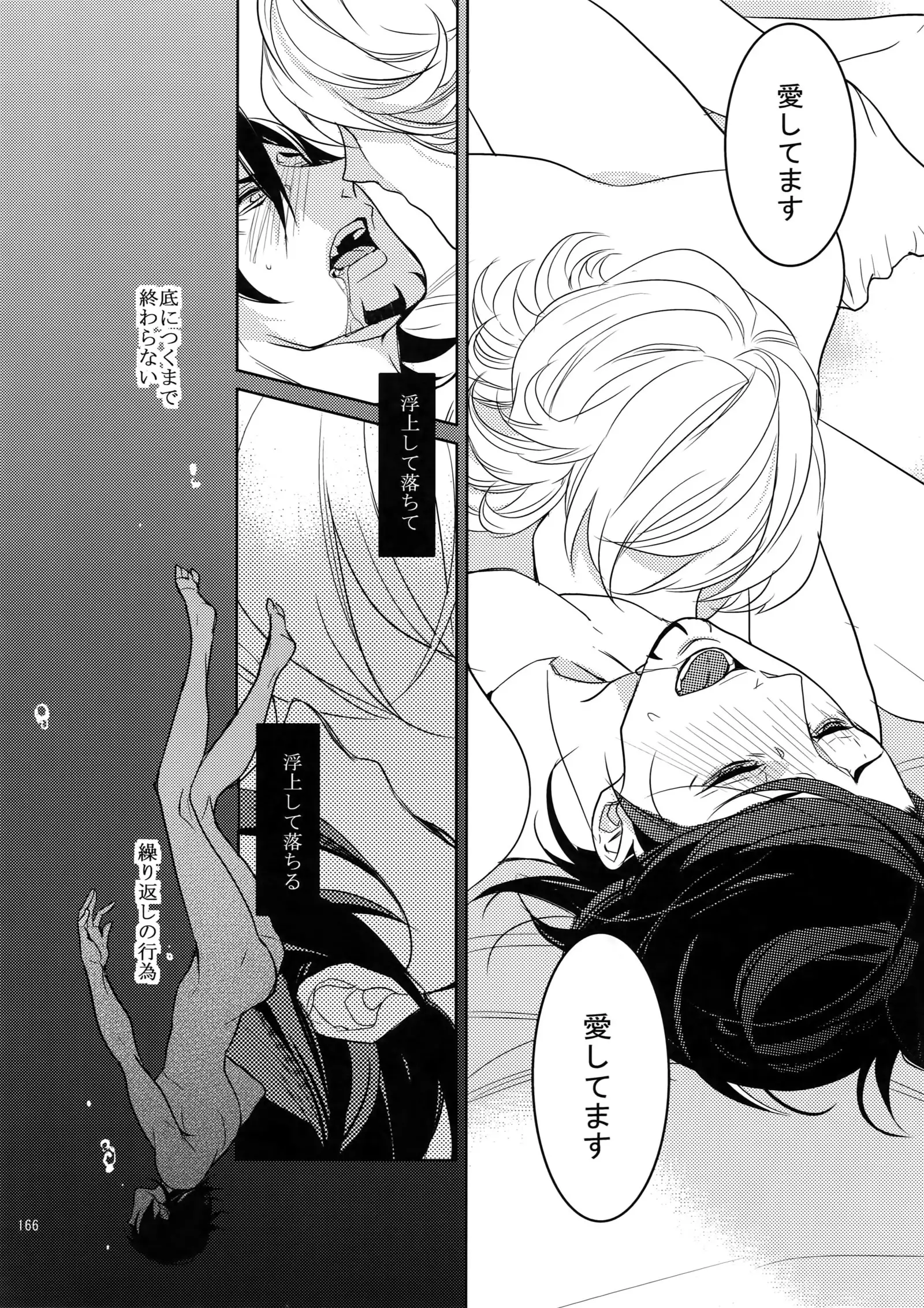 BOROZS Usagi Tora Sairoku