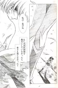 (C69) [Hen Rei Kai (Kawarajima Koh)] AmiHota!! Side:D (Sailor Moon)