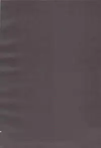 (C81) [Crazy9 (Ichitaka)] Ofuro de! Wanko Tomushizu no Hon (Durarara!!)