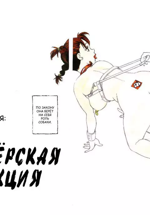 Volunteer Breeding Ch.1