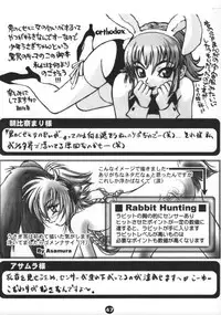 (Shotaket 6) [2H (Various)] Bunny Boys Collection 2