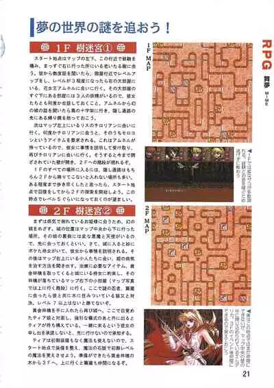 PC Bishoujo Software Strategy Book: Strategy King 2