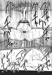 (Reitaisai 12) [Yashiya (YASSY)] SakuFla (Touhou Project) [Textless]