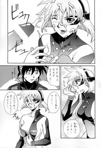 (C61) [BREEZE (Haioku)] R25 Vol.5 V.D.S (Vandread)