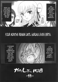 (C73) [Shiawase Kyouwakoku (Shiawase no Katachi)] Katashibu 15-shuu | Katashibu Week 15 [English]