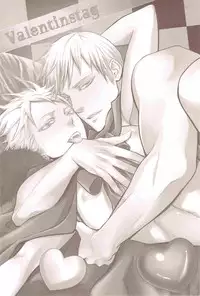 [Drunken Angel (Irima)] Valentinstag (Hetalia: Axis Powers)