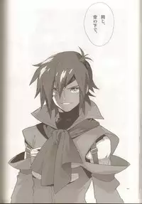 (C78) [Article 60 of Criminal Code (Shuhan)] Anthurium.EA01 Shinsouban (Skies of Arcadia)