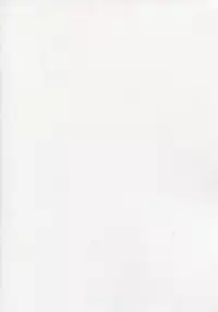 (C86) [Type-G, Studio Himawari (Himukai Kyousuke, Ishigaki Takashi)] UNISON [Lyrical ☆ Nanoha Goudoushi] (Mahou Shoujo Lyrical Nanoha)