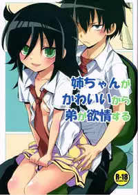(CT22) [Monte Carlo-ya (Sena Monaco)] Nee-chan ga Kawaii kara Otouto ga Yokujo suru (Watashi ga Motenai no wa Dou Kangaetemo Omaera ga Warui!) [English]