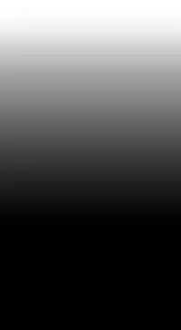 姐妹丼饭 Sister rice Chinese Rsiky