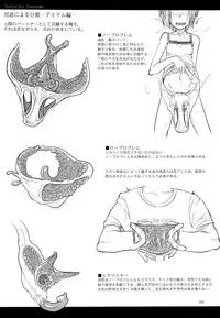 (C89) [SHIS (Z-ton)] A Beautiful Greed Z-ton Jingai Soushuuhen