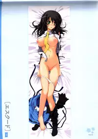 Dakimakura Cover Gashuu Bishoujo Game Hen