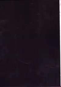 [Johnny Iron Pipe (Inugami Johnny)] Caesar Salad Ontama Nose (One Piece) [English] [biribiri]