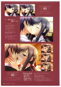 Walkure Romanze More & More Visual Fan Book