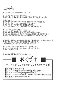 (C94) [Arearee] Manya-san to Minea-san to Mata Are Suru Hon (Dragon Quest IV)