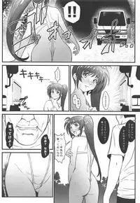 (COMIC1☆13) [Metabo Offensive Smell Uproar (Itachou)] N ~Ochita Ace~ (Mahou Shoujo Lyrical Nanoha)