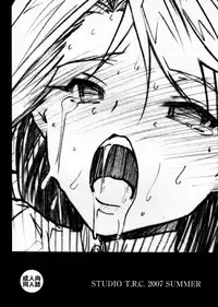 (C72) [Studio T.R.C. (Fuzuki Yoshihiro)] Emiya-san Chi no Hanten Seikatsu (Fate)