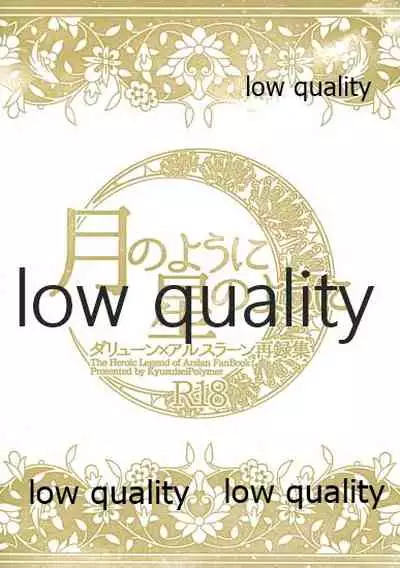 (Haruka Naru Outo V) [Kyusuisei Polymer (Kyusui)] Tsuki no You ni Hoshi no You ni Daryun x Arslan Sairokushuu (Arslan Senki)