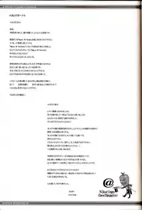 (C70) [Niku Ringo (Kakugari Kyoudai)] NIPPON Onna HEROINE 2 (Darkstalkers, Street Fighter II)