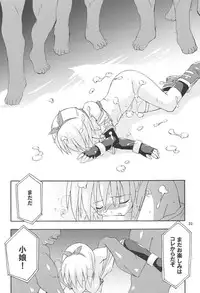 (C67) [Dr. VERMILION (Petenshi)] Bird Cage (Ragnarok Online)